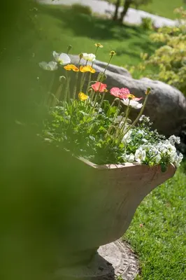 a flower arrangement in a bird bath in a garden at Hotel Sonnenhof in Merano