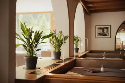 a row of potted plants sitting on a counter at Hotel Boè Sport and Nature in Arabba