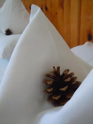 a pine cone sitting on top of a white paper at Feldererhof in Siusi