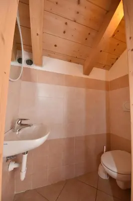 a bathroom with a sink and a toilet and a shower at Maso Chelò in Cavalese