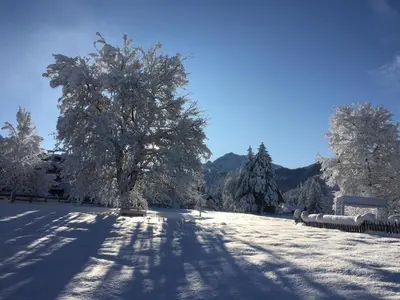 a snow covered field with trees and a fence at App. Daverda Walter Strada al Plan Dessora 26 in San Vigilio Di Marebbe