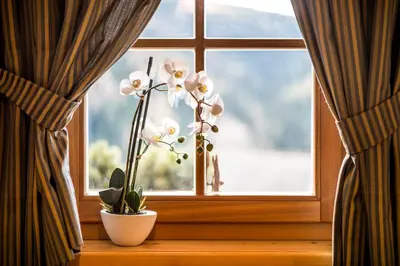 a window with a vase of flowers on a window sill at Appartamenti Maierhof in La Valle
