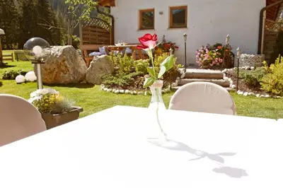 a garden with a red rose in a vase at Gasthof Huber in Braies