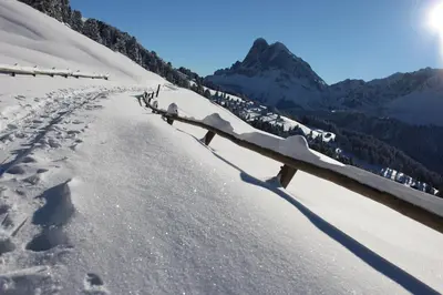 a fence on top of a snow covered mountain at Residence Alpenrose in Bressanone