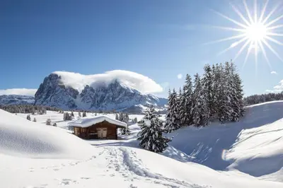 a cabin in the snow with a mountain in the background at Residence Alpenrose in Bressanone