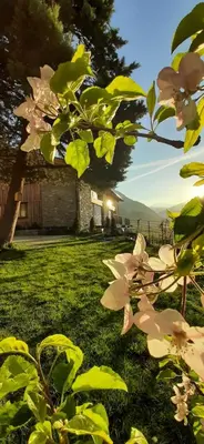 a tree with pink flowers in front of a house at Pröfinghof - Urlaub auf dem Biobauernhof in Parcines