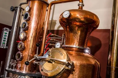 a close up of a gramophone next to a saxophone at Hotel Weingut Klosterhof in Caldaro