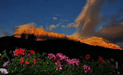 a view of a mountain with flowers in the foreground at Ciasa Andy in Badia