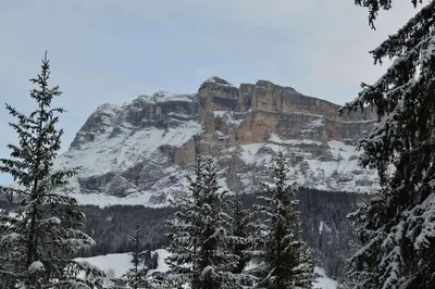 a mountain covered in snow with trees in the foreground at Ciasa Andy in Badia