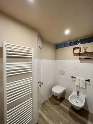 a bathroom with a toilet and a sink at Ciasa Andy in Badia