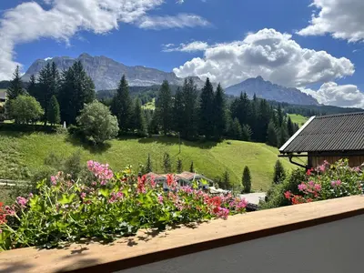a garden with flowers and mountains in the background at Ciasa Andy in Badia