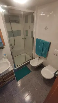 a bathroom with a shower and a sink and a toilet at Ciasa Andy in Badia