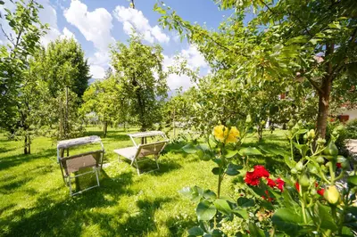 two chairs sitting in the grass in a garden at Hotel Neuhausmühle in Vilpiano