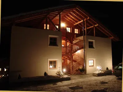 a house at night with christmas trees in front of it at Apartments Serghela in San Cassiano