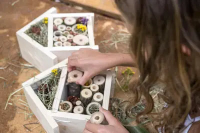 a woman is looking at a box of mushrooms at Bad Ratzes in Siusi