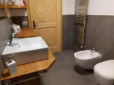 a bathroom with a sink and a toilet at CHALET VILLA RITA in Tesero