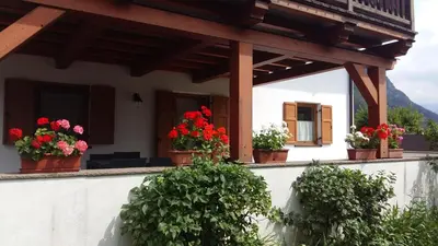a house with potted flowers on a balcony at CHALET VILLA RITA in Tesero
