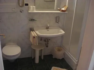 a bathroom with a shower and a toilet and a sink at Sporthotel Rasen in Rasùn di Sotto