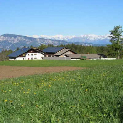 a field of grass with houses and mountains in the background at Tielerhof in Aldino