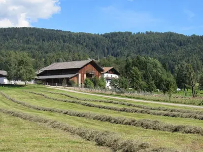 a field of crops with a barn in the background at Tielerhof in Aldino
