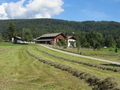 a barn in a field next to a road at Tielerhof in Aldino
