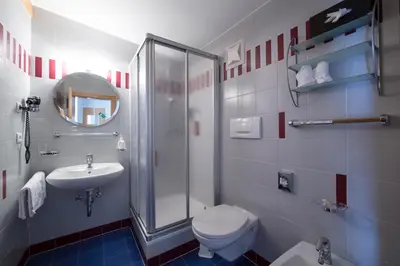 a bathroom with a toilet and a sink and a shower at Hotel Dolomitenblick in Terento