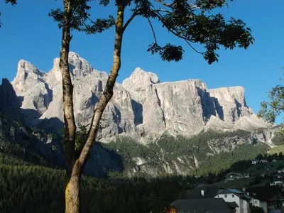 a mountain in the distance with a tree at Residence Bondì in Colfosco