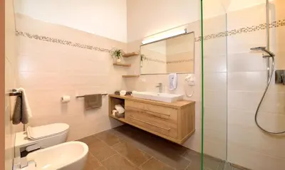 a bathroom with a toilet and a sink and a shower at Rumlhof in Bressanone