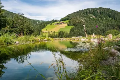 a view of a lake with mountains in the background at Burgerhof in San Genesio Atesino