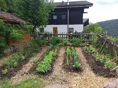 a vegetable garden in front of a house at Burgerhof in San Genesio Atesino