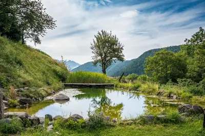 a pond in a valley with a tree and mountains at Burgerhof in San Genesio Atesino