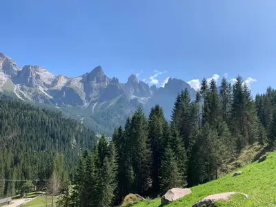 a green hillside with trees and mountains in the background at Chalet Prà delle Nasse in San Martino di Castrozza