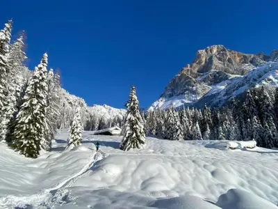 a snow covered slope with trees and a mountain at Chalet Prà delle Nasse in San Martino di Castrozza
