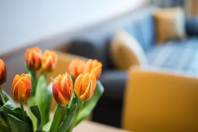 a bunch of orange flowers in a vase at Alpinus Agriturism in San Martino in Badia