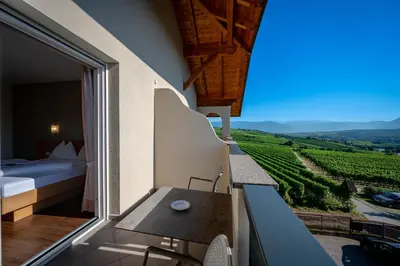 a room with a balcony with a view of a vineyard at Garni Hotel Peterlinhof in Caldaro