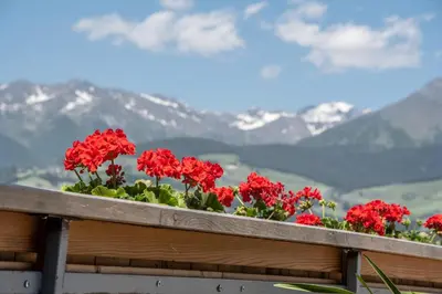 a row of red flowers on a wooden fence with mountains at Forchnerhof Panorama- Rienzschlucht in Rodengo