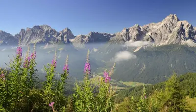 a view of a mountain range with pink flowers at Haus Cosso in Villabassa