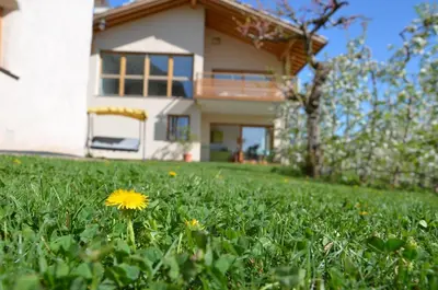 a yellow flower in the grass in front of a house at Pizzol-hof in Appiano sulla Strada del Vino