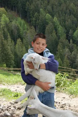 a young boy holding a baby goat in his arms at Kaserhof wandern- Alleinlage - ruhig- top Aussicht in Bressanone