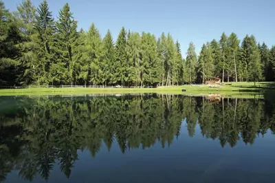 a view of a lake with trees in the background at Gspoi-Hof in Laion
