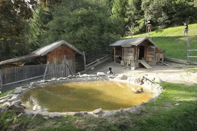 a small pond in front of two huts at Gspoi-Hof in Laion
