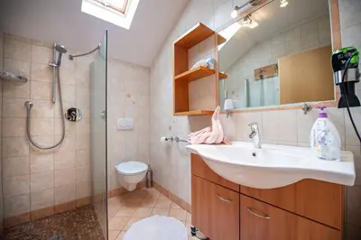 a bathroom with a sink and a shower at Ausservogelweiderhof in Ponte Gardena