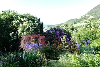 a garden of flowers with mountains in the background at Apartment Le rose di Marianne - ovest in Varna