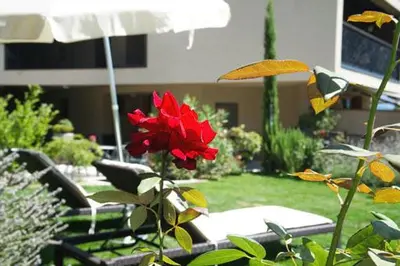 a red flower in the middle of a garden at Biobauernhof St. Quirinus in Caldaro