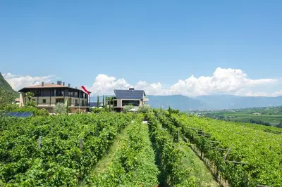 a vineyard with a house on the side of a hill at Biobauernhof St. Quirinus in Caldaro