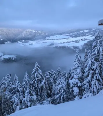 a group of trees in the snow with a lake at Forchnerhof Panorama - App 3 Täler Blick in Rodengo