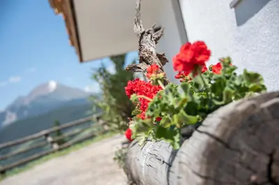 a flower pot with red flowers in it at Forchnerhof Panorama - App 3 Täler Blick in Rodengo