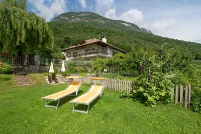 a yard with two benches and a house with a fence at Haus St. Valentin in Appiano sulla Strada del Vino