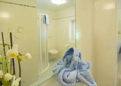 a bathroom with a towel on the counter in front of a mirror at Urthalerhof in Castelrotto