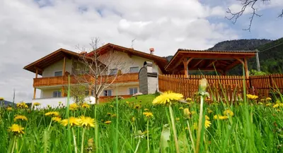 a house on a hill with a field of flowers at Urthalerhof in Castelrotto